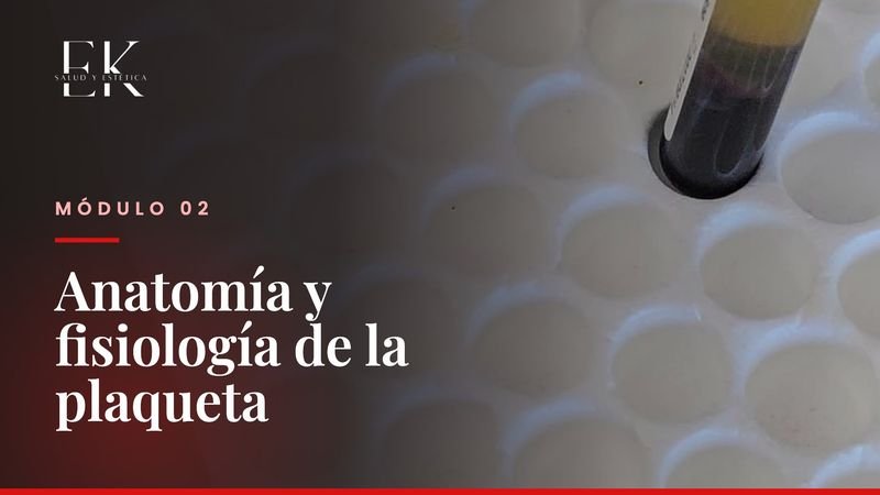 Módulo 2: Anatomía y fisiología de la plaqueta